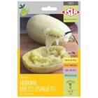 Sementes De Abobrinha Bavette Espaguete Super Isla