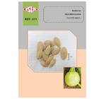 Sementes De Abobrinha Clara Redonda Super Isla