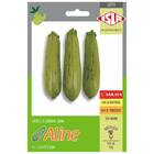 Sementes De Abobrinha Híbrida Aline Super Isla