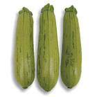 Sementes De Abobrinha Híbrida Aline Super Isla