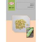 Sementes De Abobrinha Hibrida Brescia (50 Sementes) Isla