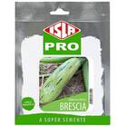 Sementes De Abobrinha Hibrida Brescia (50 Sementes) Isla