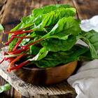 Sementes De Acelga Artemis (linha Carol Costa) Isla