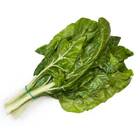 Sementes De Acelga Branca De Lyon Feltrin