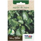 Sementes De Agrião De Água (folha Larga) Topseed