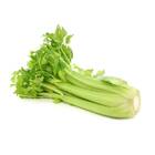 Sementes De Aipo/salsão Tall Utah Feltrin