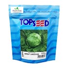 Sementes De Alface Americana Great Lakes 659 Pcte C/ 100 Gram