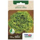 Sementes De Alface Crespa Elba Topseed