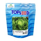 Sementes De Alface Crespa Repolhuda Pcte C/ 100 Gramas