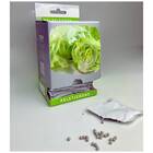 Sementes De Alface Delícia Americana Peletizada (100un) Isla