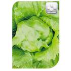 Sementes De Alface Delícia Americana Peletizada (100un) Isla