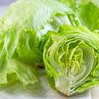 Sementes De Alface Delícia Americana Peletizada (100un) Isla
