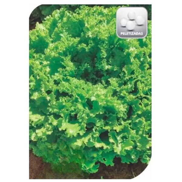 Sementes De Alface Embaú Crespa Peletizada (100un) Isla