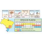 Sementes De Alface Lisa Regina 255 Pcte C/ 50 Gramas