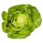 Sementes De Alface Romana Balão Topseed