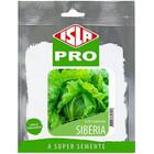 Sementes De Alface Sibéria Americana Peletizada (1000un)isla