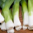 Sementes De Alho Porro (gigante) Blueline Topseed