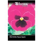 Sementes De Amor-perfeito Gigante Suíço (púrpura) Feltrin