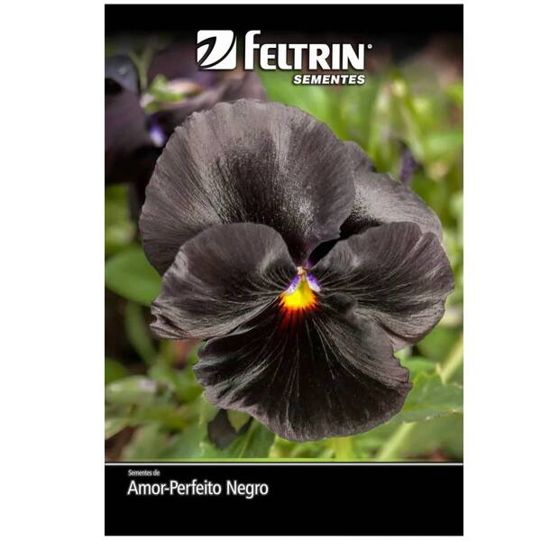 Sementes De Amor-perfeito Iraúna (negro) Feltrin