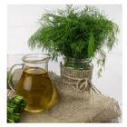 Sementes De Aneto/ Dill /endro Topseed