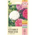 Sementes De Aster Rainha Do Mercado (sortida) Isla