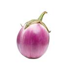 Sementes De Berinjela Anita Isla