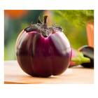 Sementes De Berinjela Bia [redonda] Isla