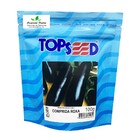 Sementes De Berinjela Comprida Roxa Pcte C/ 100 Gramas