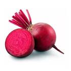 Sementes De Beterraba Early Wonder Tall Top (50g) Isla