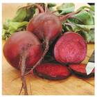 Sementes De Beterraba Early Wonder Tall Top (50g) Isla