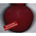 Sementes De Beterraba Ferry Morse Pcte C/ 500 Gramas