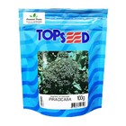 Sementes De Brócolis Piracicaba Pcte C/ 100 Gramas