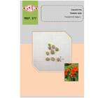 Sementes De Capuchinha Anã Tango Isla