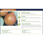 Sementes De Cebola Br 25 Pcte C/ 500 Gramas