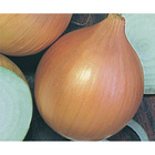 Sementes De Cebola Br 25 Pcte C/ 500 Gramas