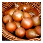 Sementes De Cebola Crioula Topseed