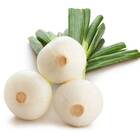 Sementes De Cebola Crystal White Wax Blueline Topseed