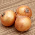 Sementes De Cebola Ipa 11  Topseed