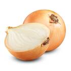 Sementes De Cebola Ipa 11  Topseed