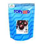 Sementes De Cebola Roxa Ipa 10 Pcte C/ 500 Gramas