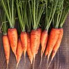 Sementes De Cenoura Baby Blueline Topseed