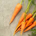 Sementes De Cenoura Baby Blueline Topseed