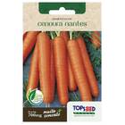 Sementes De Cenoura Nantes Topseed