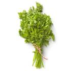 Sementes De Cerefólio Samir Feltrin