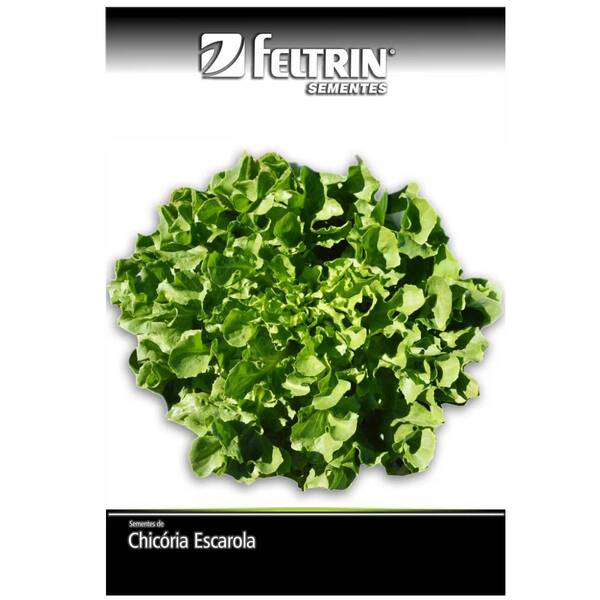 Sementes De Chicória Lisa Gigante Barbarella Feltrin