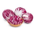 Sementes De Chicória Palla Rossa Precoce Blueline Topseed