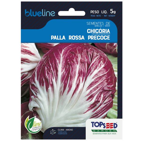Sementes De Chicória Palla Rossa Precoce Blueline Topseed