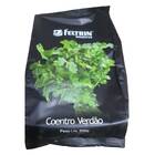 Sementes De Coentro Verdão (500g) Feltrin
