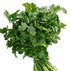 Sementes De Coentro Verdão (50g) Feltrin