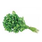 Sementes De Coentro Verdão (50g) Isla